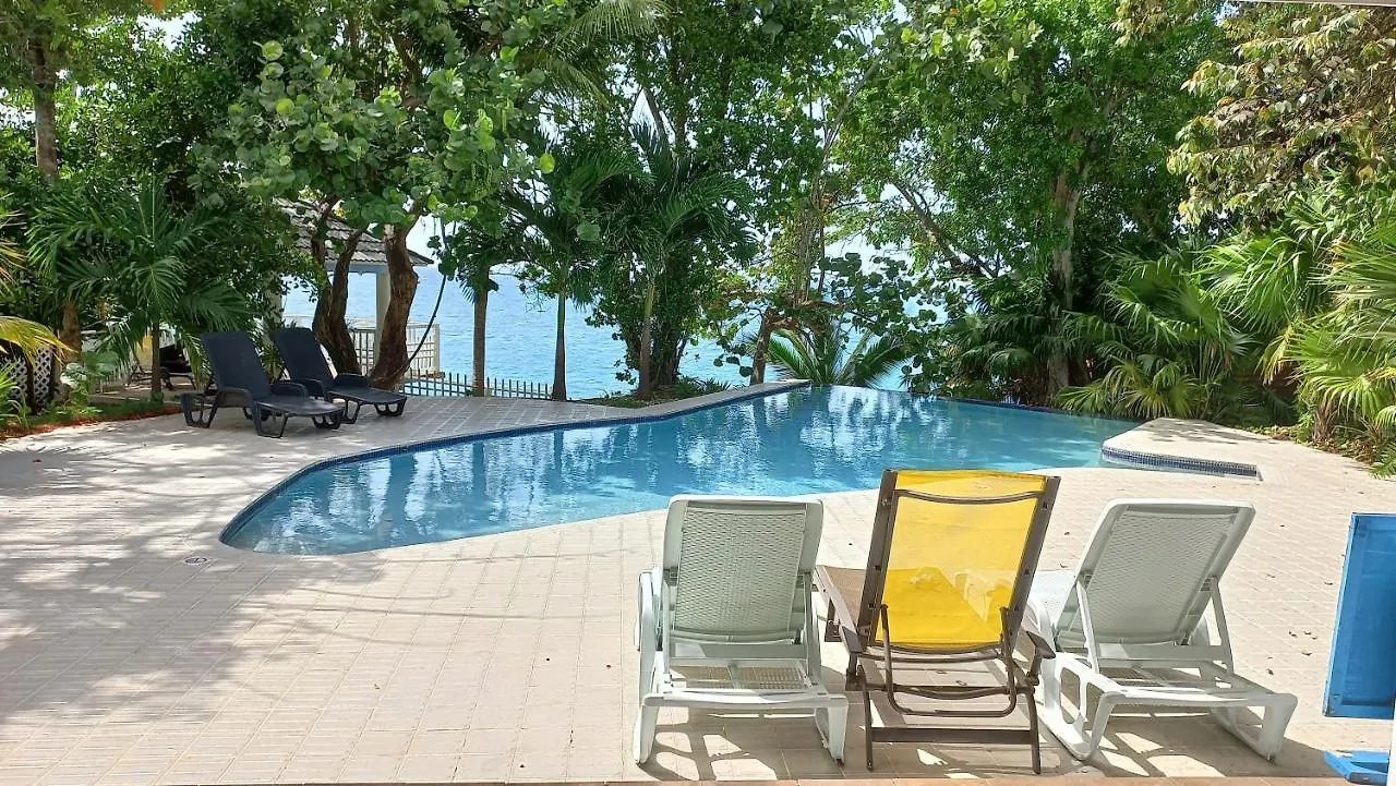 Spacious Tranquility Cove Two Bedroom Apartment Saint Maryʼs Jamaica